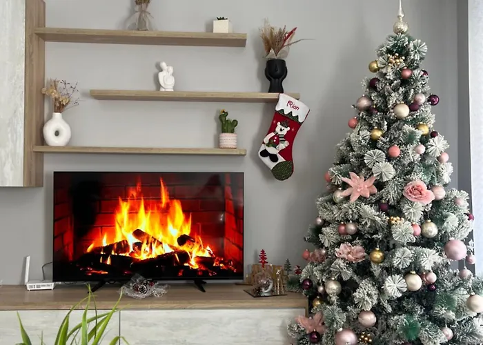 Meri's In Center * Shkodër